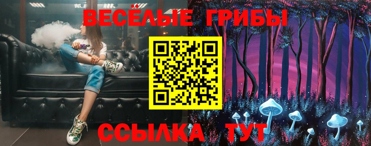 Партизанск  Псилоцибиновые грибы Psilocybe  Вход с VPN  Псилоцибиновые грибы прущие грибы 