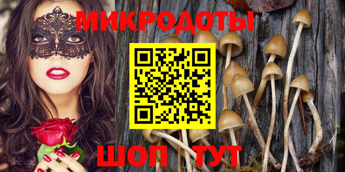 Псилоцибиновые грибы ЛСД Партизанск